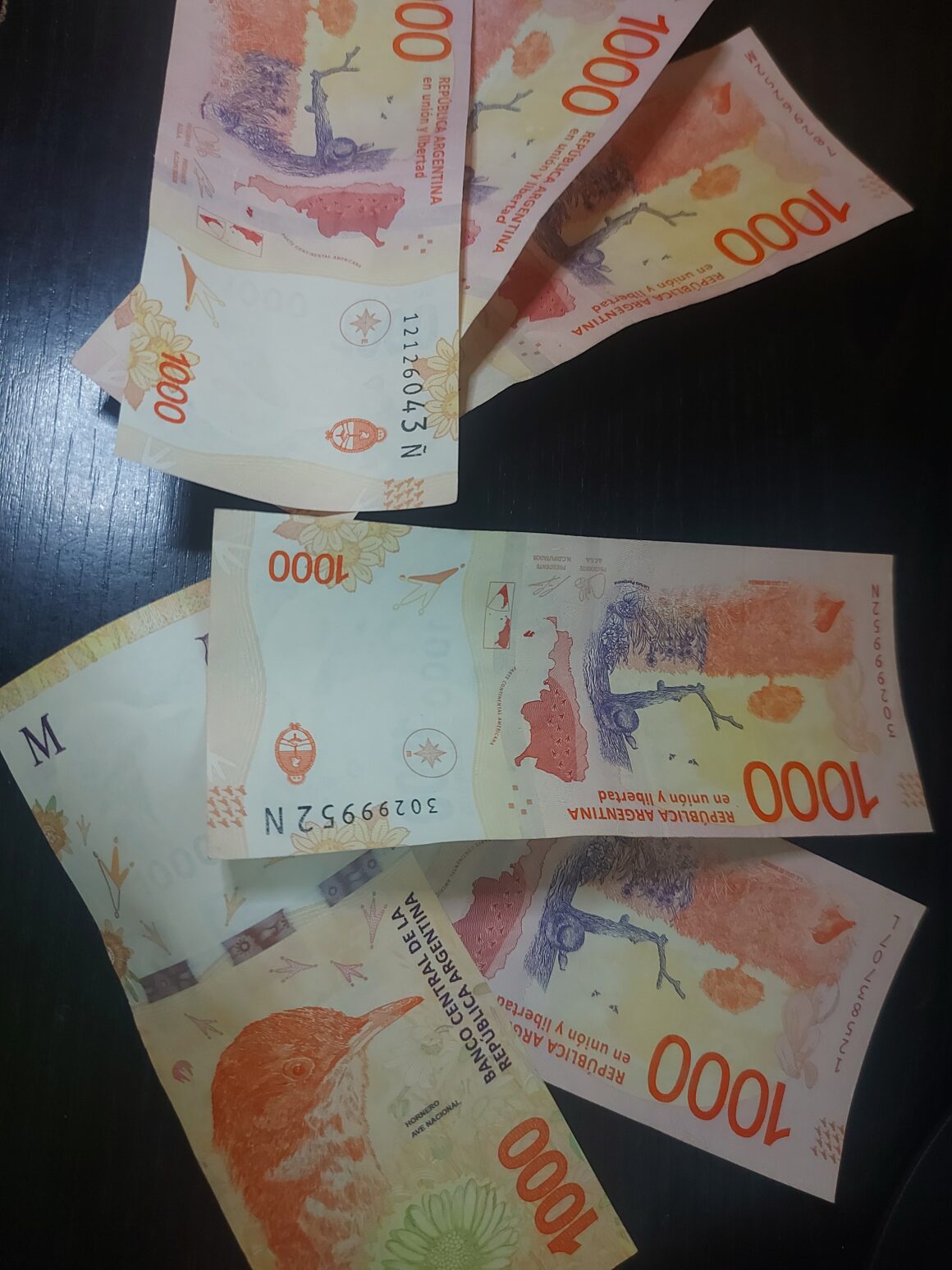 LOS JUBILADOS Y PENSIONADOS  COBRARAN EL BONO DE 6000 PESOS EN ABRIL